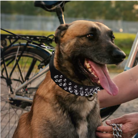 Berger allemand collier chien cuir noir