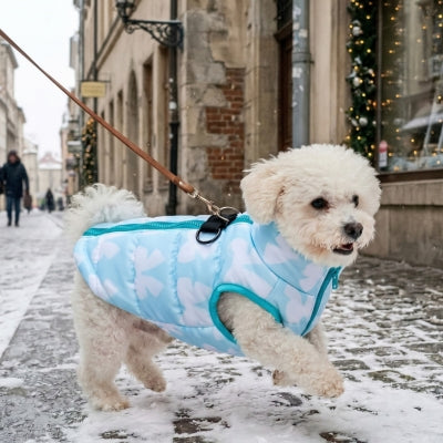 Bichon blanc promène ville manteau pour chien