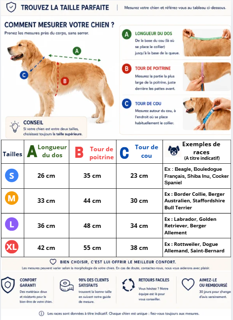 Blizzard manteau chien tailles mesures