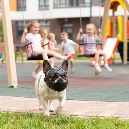 Bouledogue parc enfants muselière pour chien