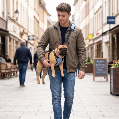 Bouledogue porter bandouilière harnais de levage pour chien