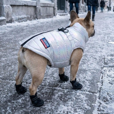 Bouledogue ville porte manteau chien