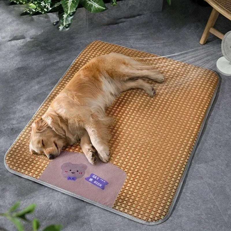 brise été tapis rafraichissant chien marron