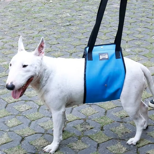 Bull maintenue harnais de levage pour chien bleu