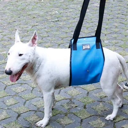 Bull maintenue harnais de levage pour chien bleu