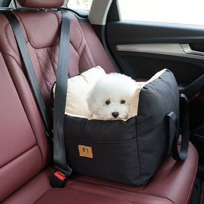 caniche nain installé dans Siege auto pour chien noir