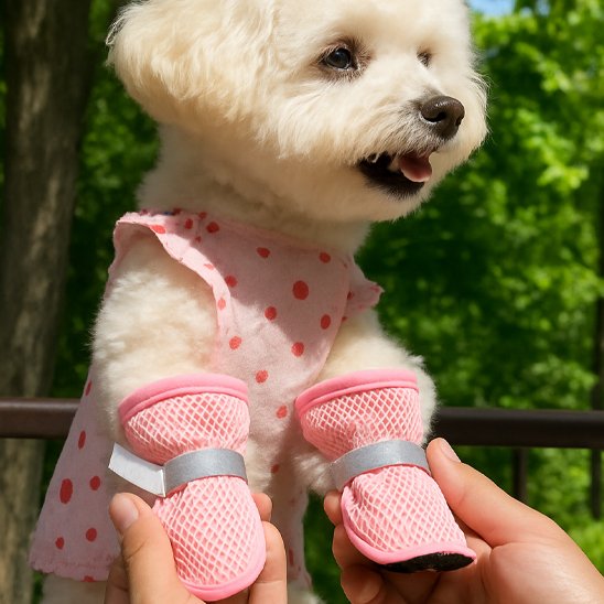 Caniche nain porte Chaussures chien​ rose