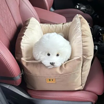 caniche repose sa tête sur Siege auto pour chien 