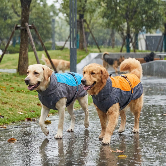 Canimax imperméable pour chien ajustable bleu orange