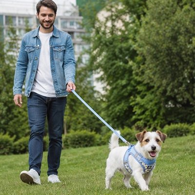 CaniPath chien balade avec son nouveau Harnais pour Chien bleu