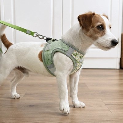 CaniPath chien pars en promenade avec Harnais pour Chien