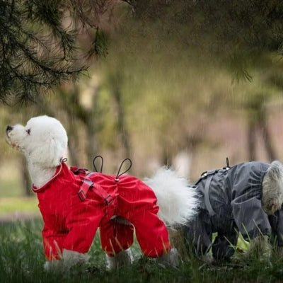 Canipluvieux imperméable pour chien intégrale rouge