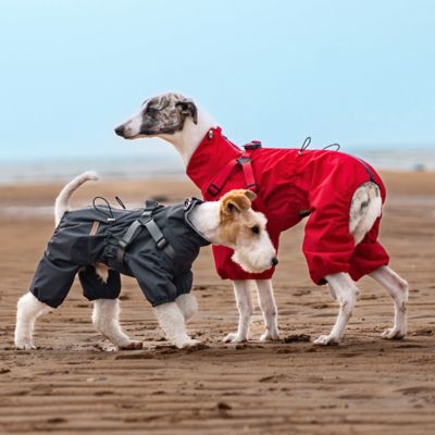 Canipluvieux imperméable pour chien noir rouge