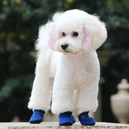 chaussure chien bleu roy
