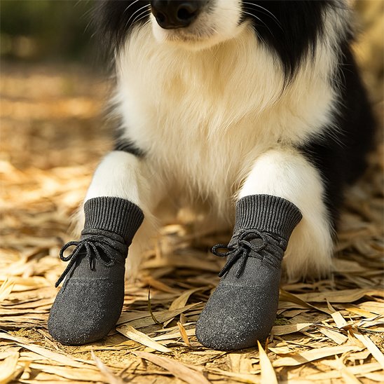 Chaussure Chien respirante tissus tricoté 