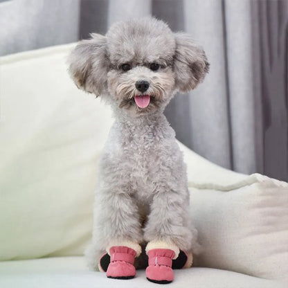 chaussure chien rose pour rester à la maison