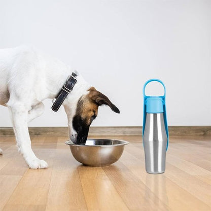 Chien à la maison regarde gamelle eau et gourde chien