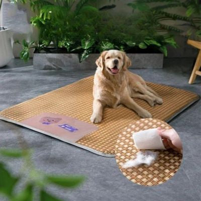 chien allonge tapis rafraichissant chien brise été