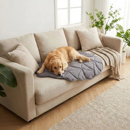 Chien allongé tapis rafraichissant pour chien canapé