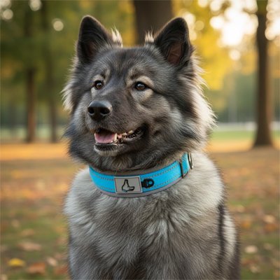 Chien assis bois Collier pour Chien Bleu