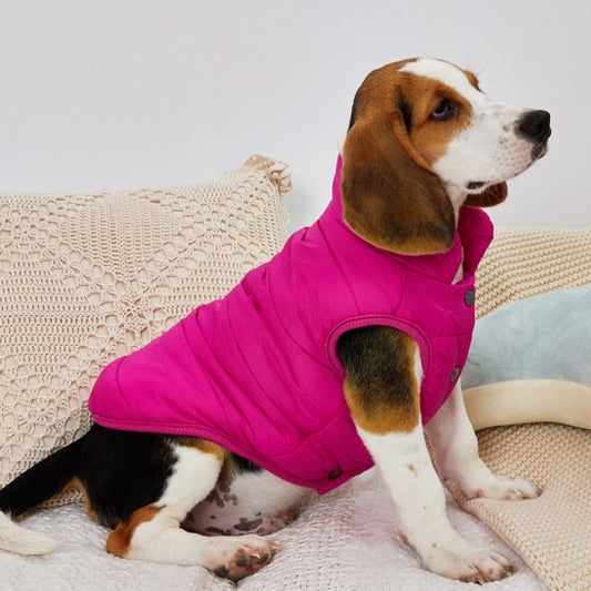 chien assis canape manteau pour chien fuchsia