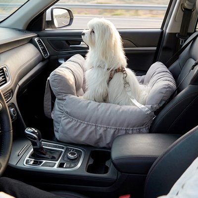chien assis dans Siege auto pour chien gris
