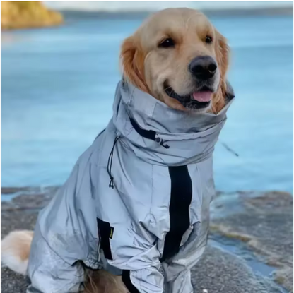 Chien assis portant combinaison imperméable chien