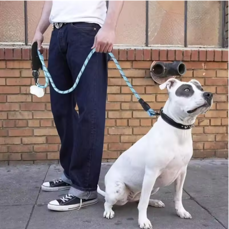 Chien assis trottoir laisse pour chien bleu