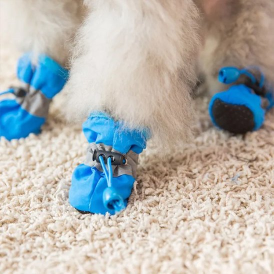 Chien avec Chaussures chien​ dessous antidérapant 