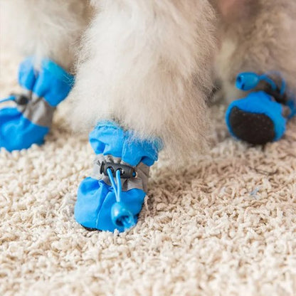 Chien avec Chaussures chien​ dessous antidérapant 