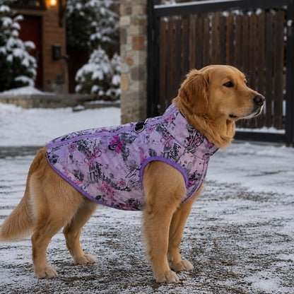 Chien balade dans neige porte Manteau pour Chien