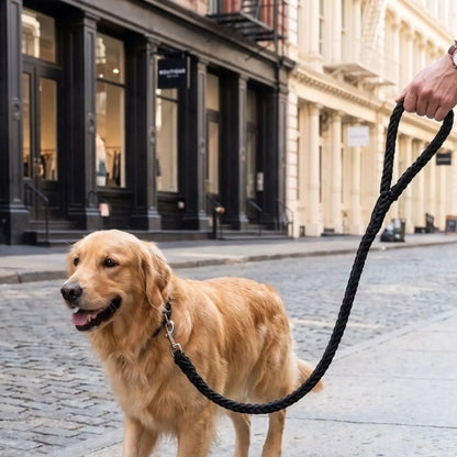 Chien balade ville laisse pour chien robuste