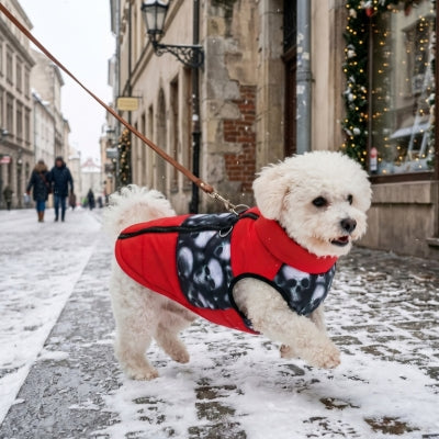 Chien bichon balade ville manteau pour chien