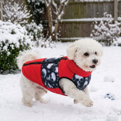 Chien bichon joue joyeusement neige manteau pour chien