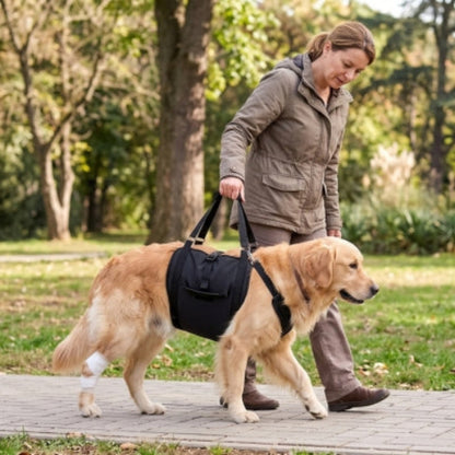 Chien blesser marche harnais de levage chien