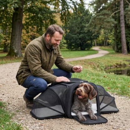 Chien chasse sac de transport pour chien