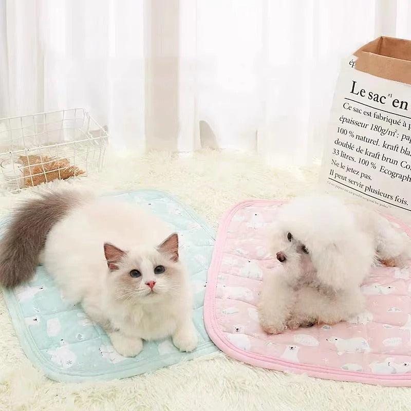 chien chat tapis rafraichissant petit chien