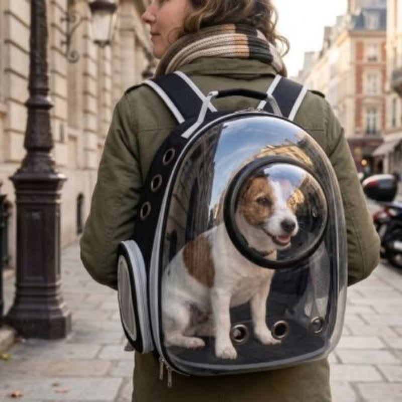 Chien confortablement installé dans le Sac a dos chien