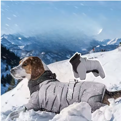 Chien coucher neige manteau chien combi