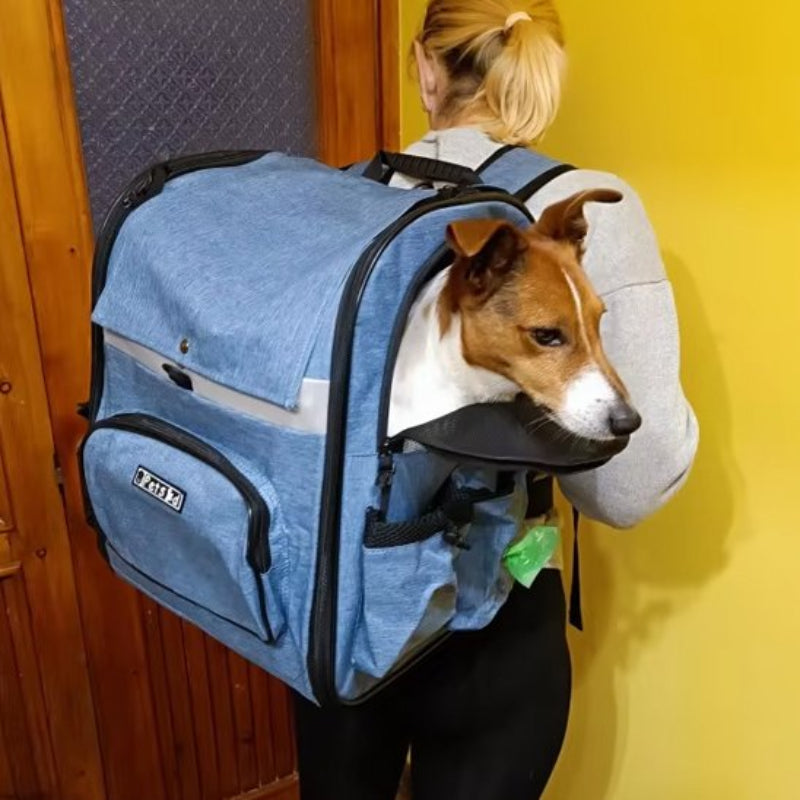 chien dans Sac de transport pour chien couleur jean