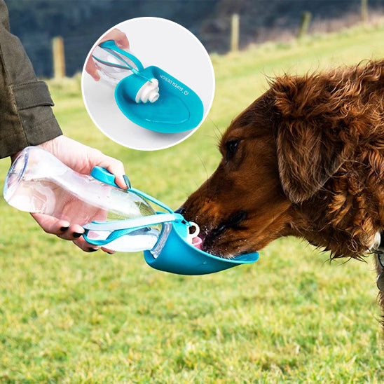 Chien désaltere gourde chien