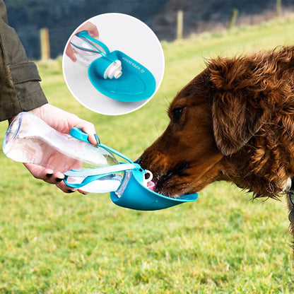 Chien désaltere gourde chien