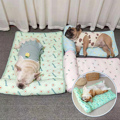 chien dors sur tapis rafraichissant chien