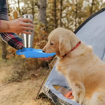 Chien en camping assis dans tente boie avec gourde chien