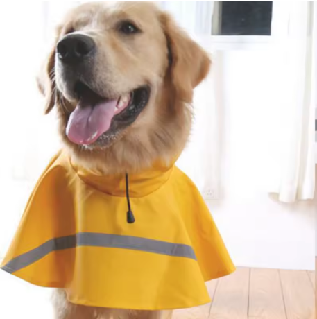 chien face impermeable pour chien
