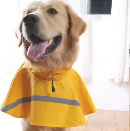 chien face impermeable pour chien