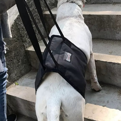 Chien grimpe marches harnais de levage pour chien