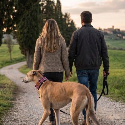 Chien lévrier porte collier pour chien rose
