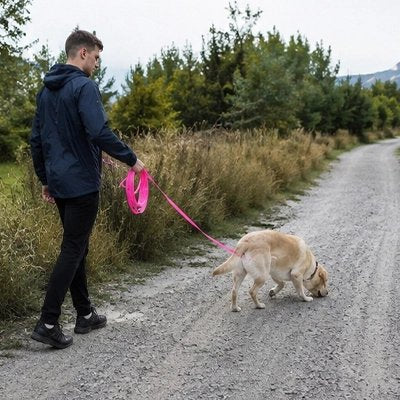 chien marche long de route avec une Longe pour Chien