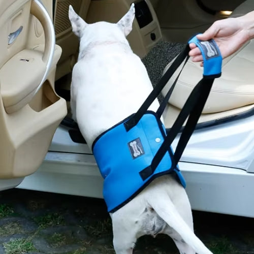 Chien monte arrière voiture harnais de levage pour chien